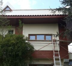 Thermowood ahşap cephe (3)