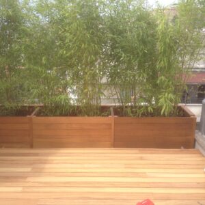 İroko Saksılık – Çiçeklik